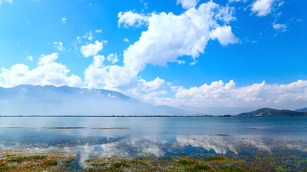 洱海流域生態環境智慧監管項目